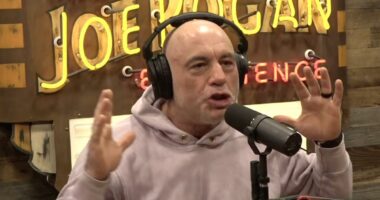 Joe Rogan blasts California âwaste and fraudâ in fiery rant